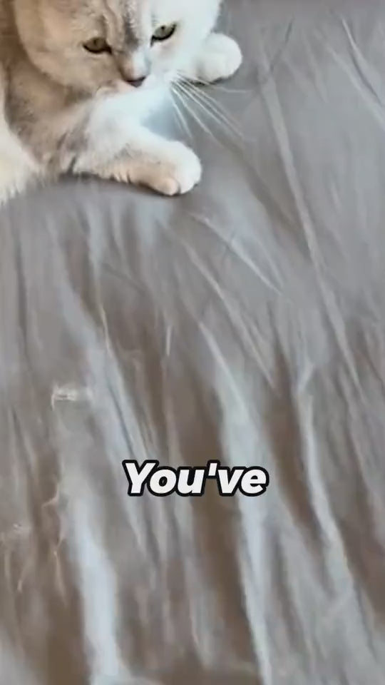 FurrOff 4‑in‑1 Brush